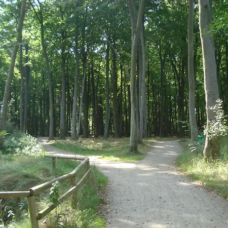 Karline - Naehe Strandstrasse * Muritz